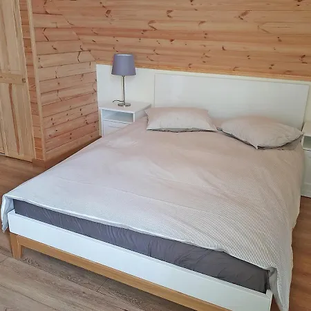 Viesu māja Priedes *